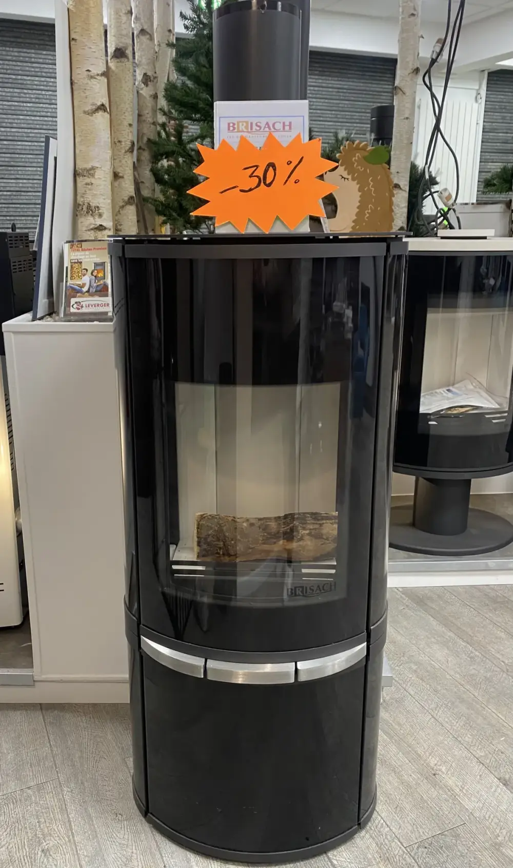 Poêle à bois ASPEN 2